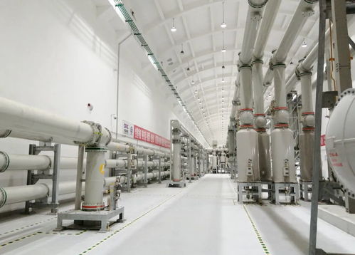 屢屢突破，走向世界——埃克倫斯電氣的全球征程